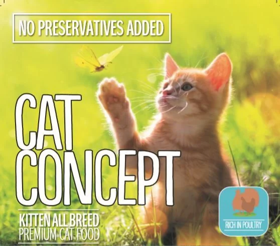 Cat Concept Dry Kitten