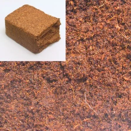 JBL Substrat Terracoco Humus 650 G