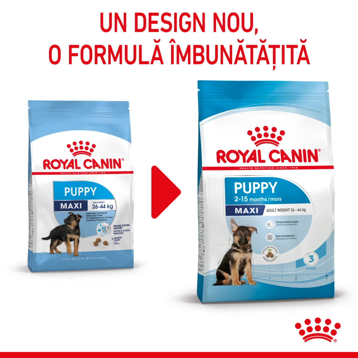 Royal Canin Maxi Puppy