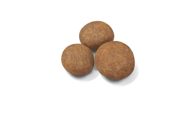 Royal Canin Maxi Puppy