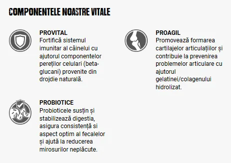 Belcando Puppy Gravy 1 kg