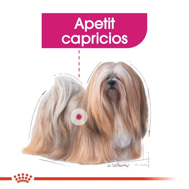 Royal Canin Mini Exigent