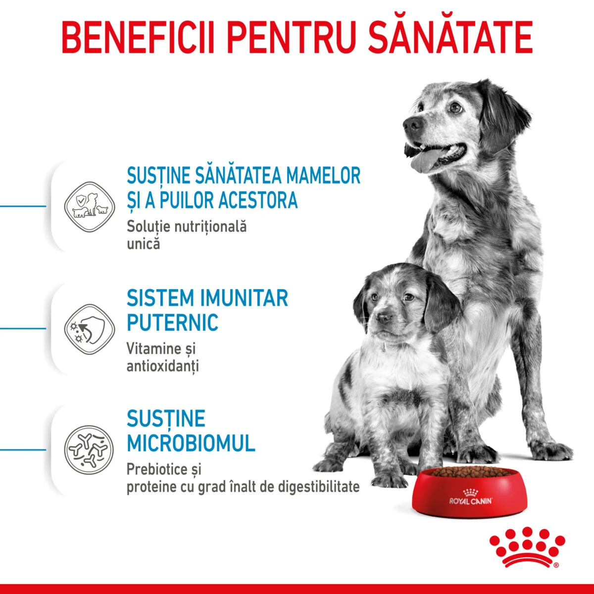 Royal Canin Medium Starter Mother & Babydog