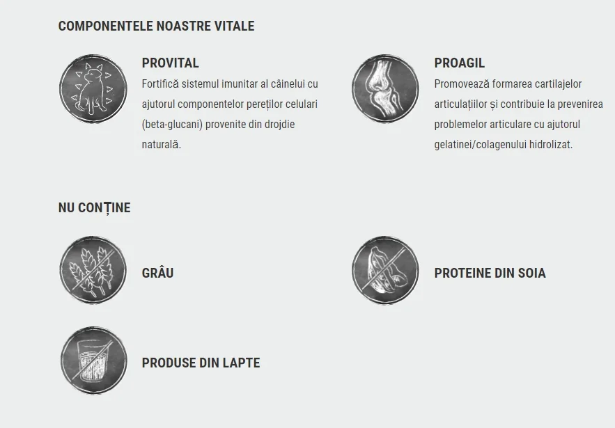 Belcando Junior Maxi