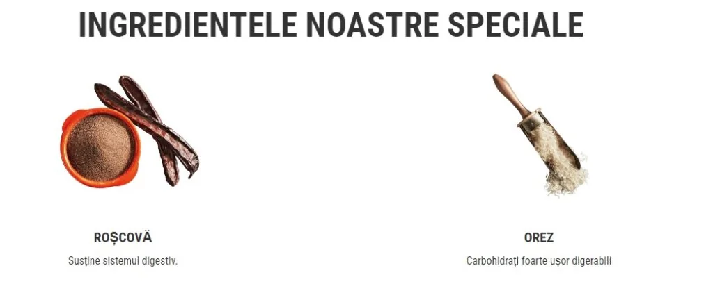 Belcando Junior Maxi