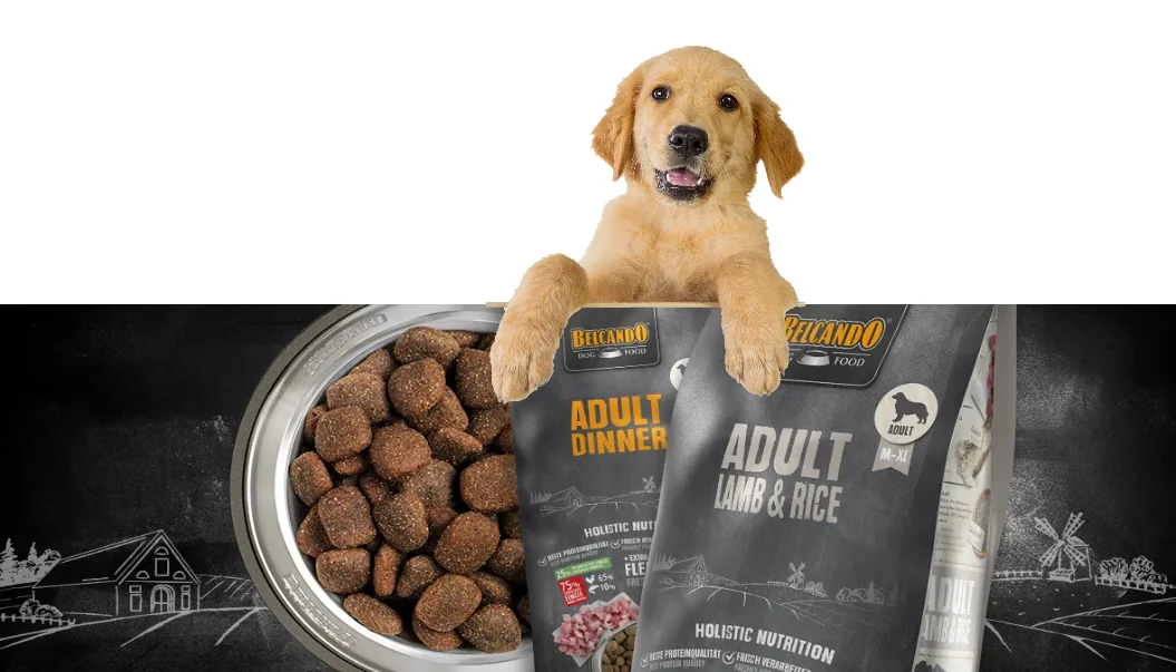 Belcando Junior Maxi