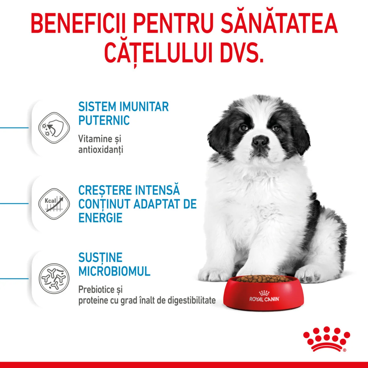 Royal Canin Giant Puppy 1 kg