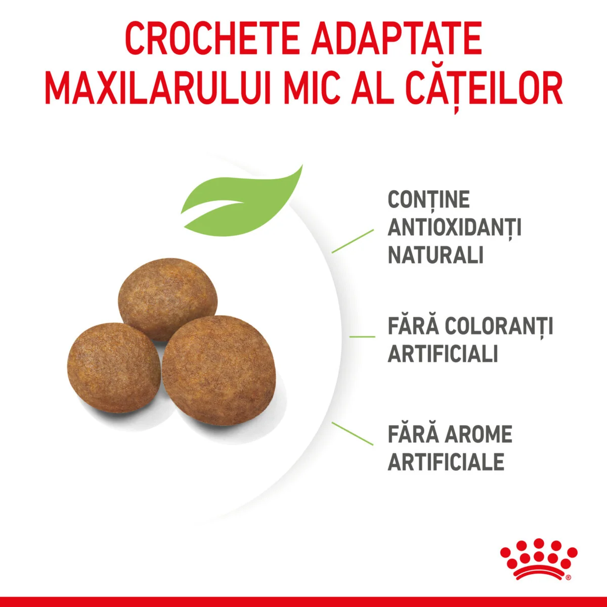 Royal Canin Giant Puppy 1 kg