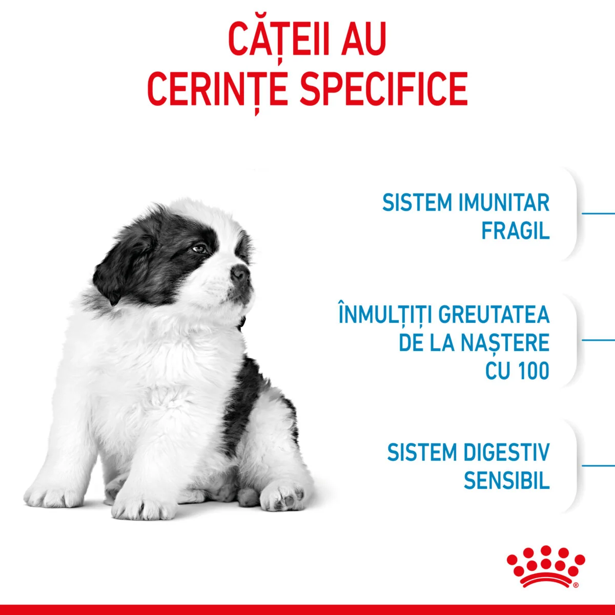 Royal Canin Giant Puppy 1 kg