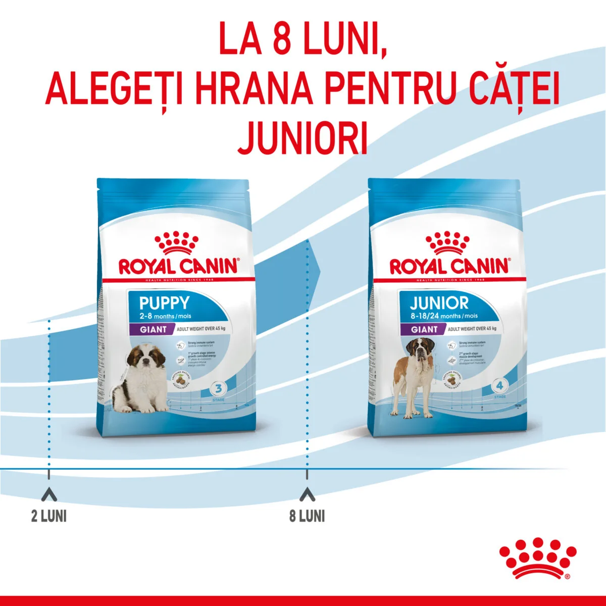 Royal Canin Giant Puppy 1 kg