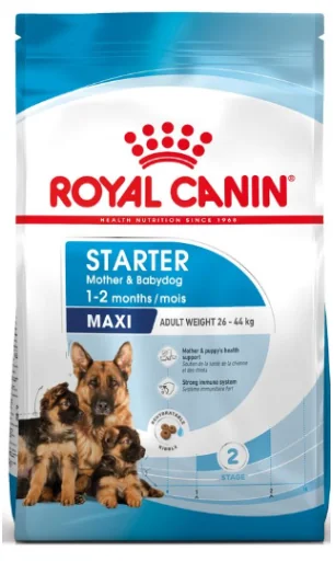 Royal Canin Maxi Starter Mother & Babydog