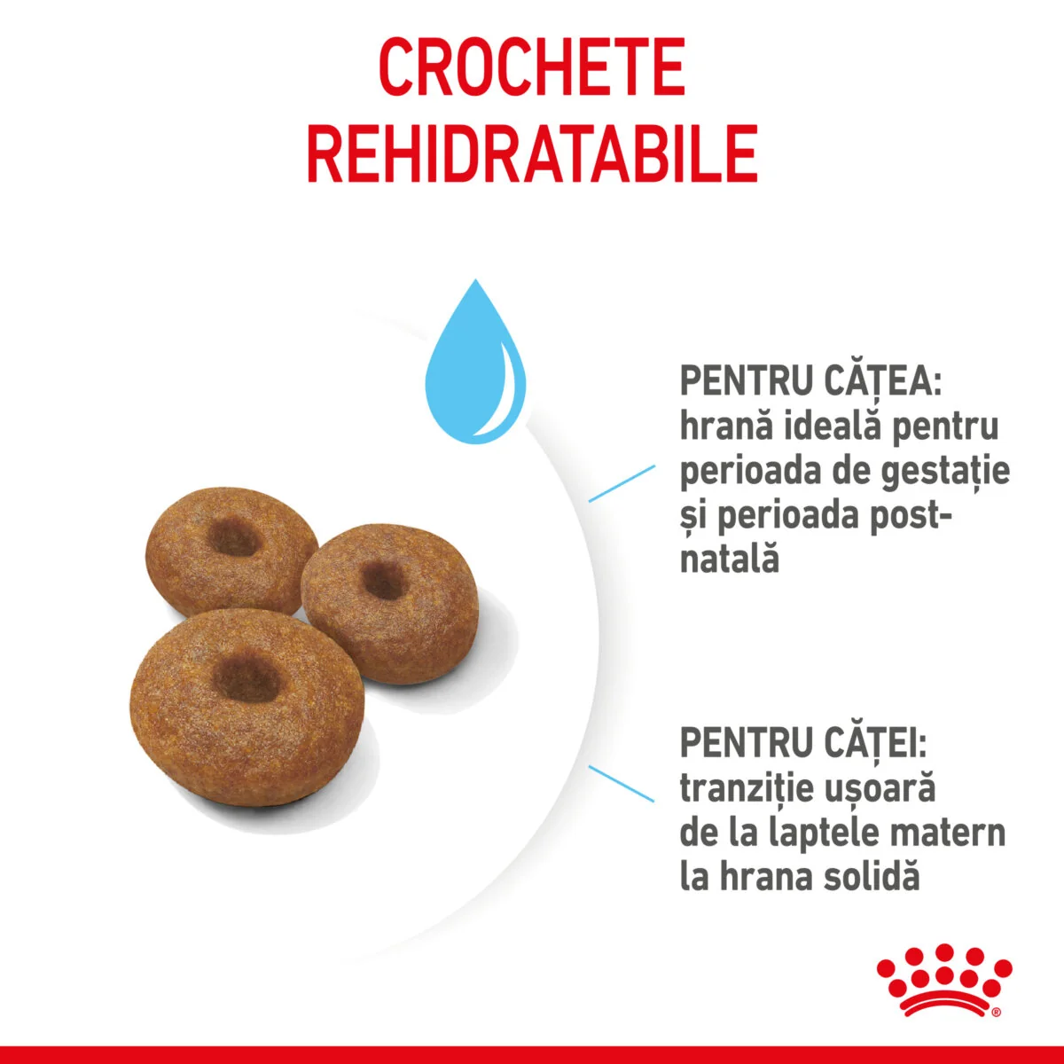 Royal Canin Maxi Starter Mother & Babydog