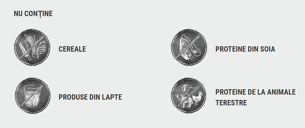 Belcando Adult Grain Free Ocean