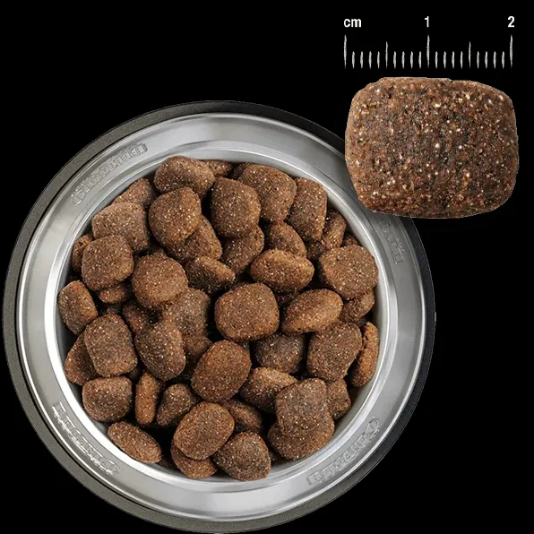 Belcando Adult Grain Free Ocean