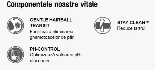 Leonardo Adult Sensitive Rata