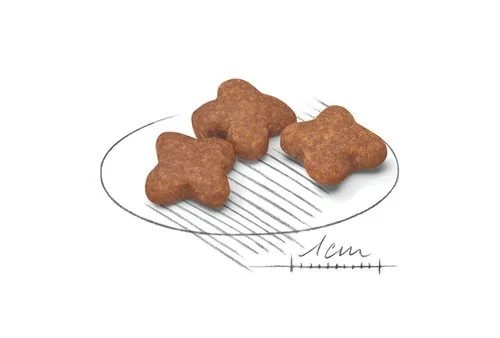 Royal Canin Mini Adult +8 2 kg