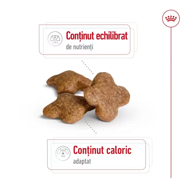 Royal Canin Mini Adult +8 2 kg