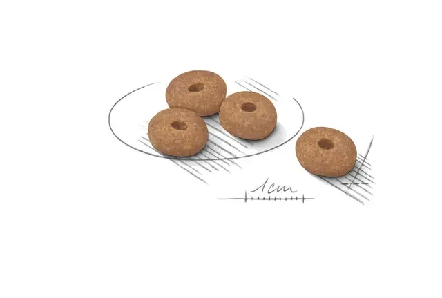 Royal Canin Mini Light Weight Care