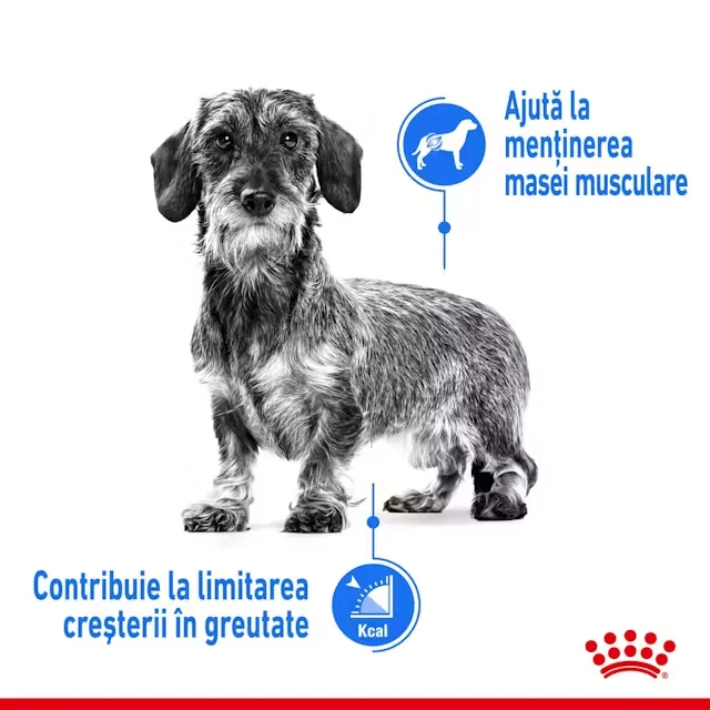 Royal Canin Mini Light Weight Care