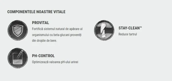 Leonardo Adult Sensitive Peste