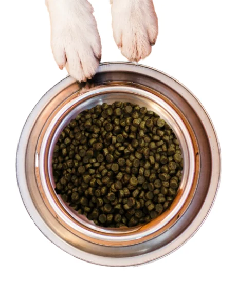 Nutraline Dog Adult Mini 1 kg