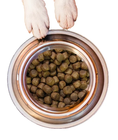 Nutraline Dog Adult Medium 3 kg K