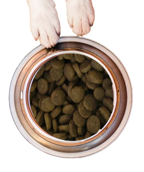 Nutraline Dog Adult Maxi 12.5 Kg K