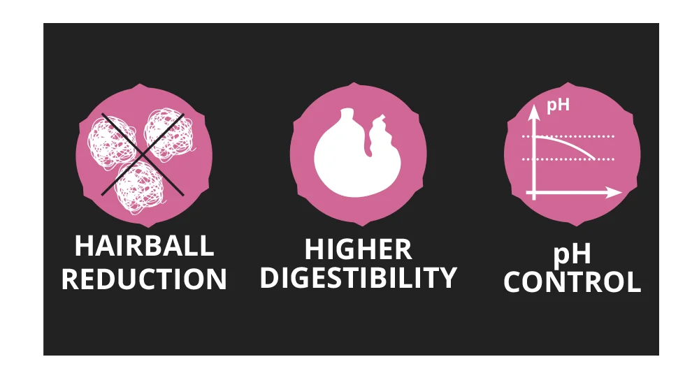 Nutraline Cat Indoor