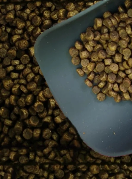 Nutraline Dog Adult Mini 8 kg K