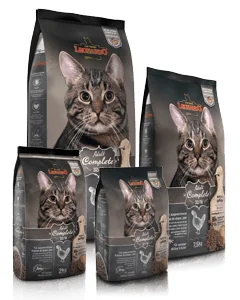 Leonardo Adult Complete 32