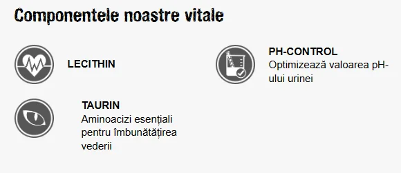 Leonardo Adult Complete 32
