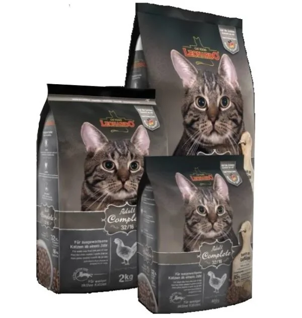 Leonardo Adult Complete 32