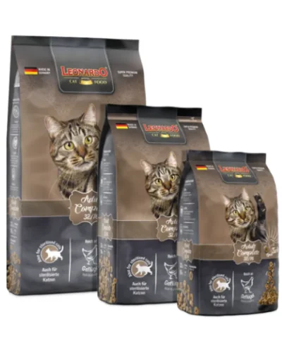 Leonardo Adult Complete 32