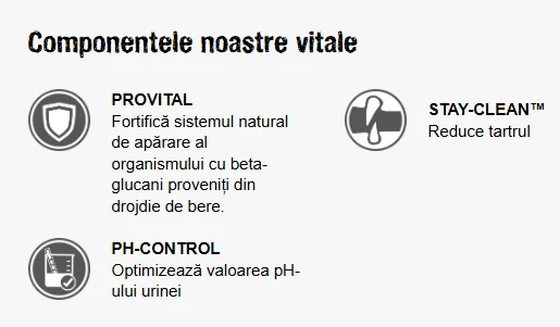 Leonardo Adult Grain Free Somon