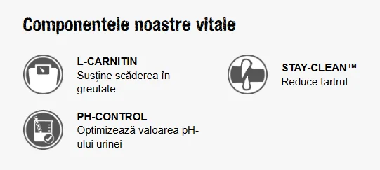 Adult Light & Sterilised
