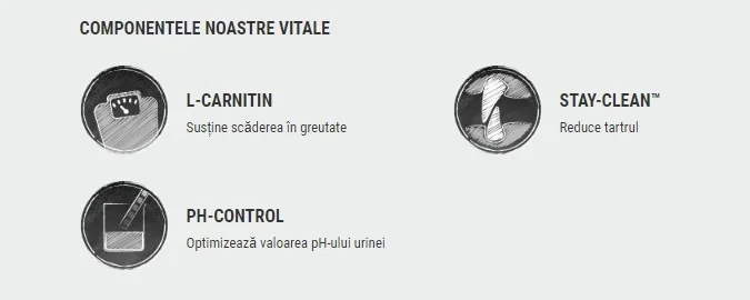 Adult Light & Sterilised