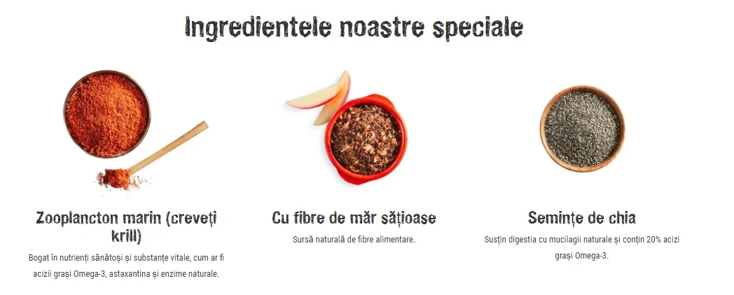 Adult Light & Sterilised