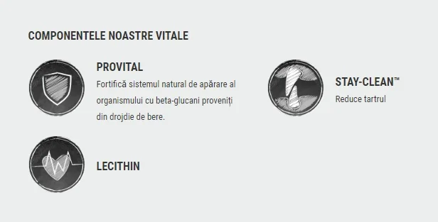 Leonardo Adult Senior Pasare