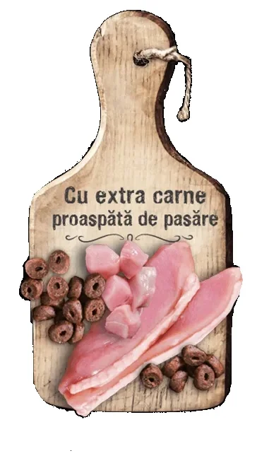 Leonardo Adult Senior Pasare