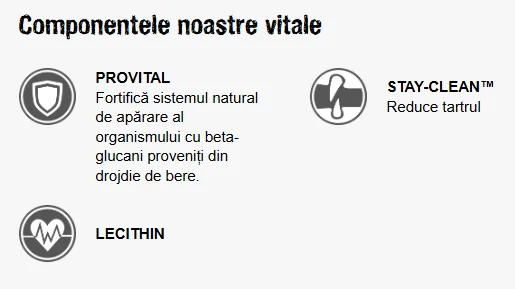 Leonardo Adult Senior Pasare