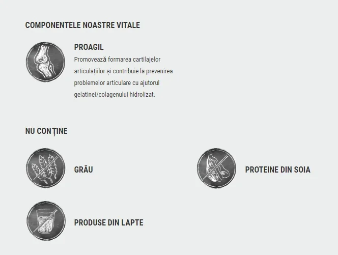 Belcando Adult Active