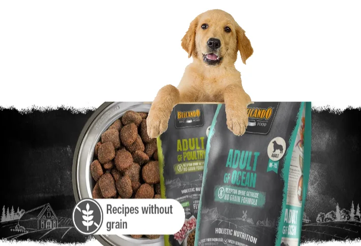 Belcando Junior Grain Free