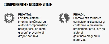 Belcando Junior Grain Free