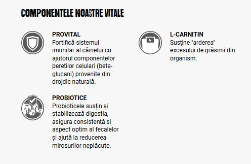 Belcando Finest Light