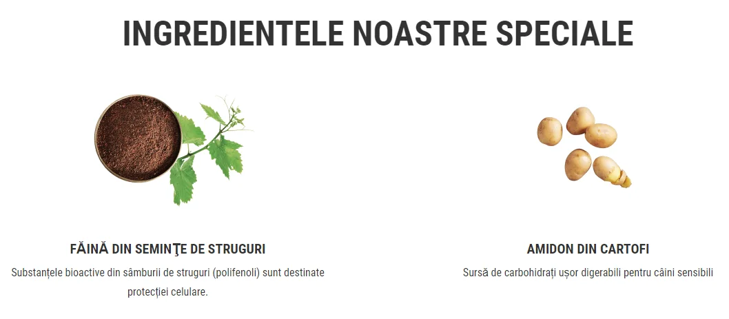 Belcando Adult Dinner