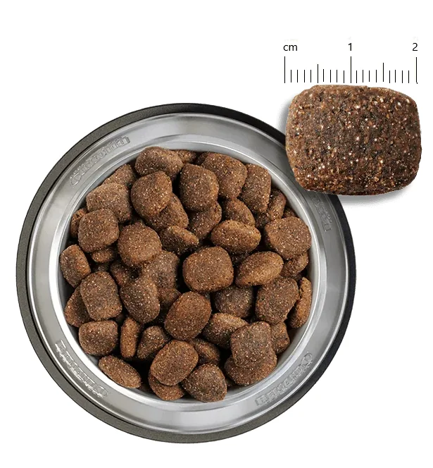 Belcando Adult Power