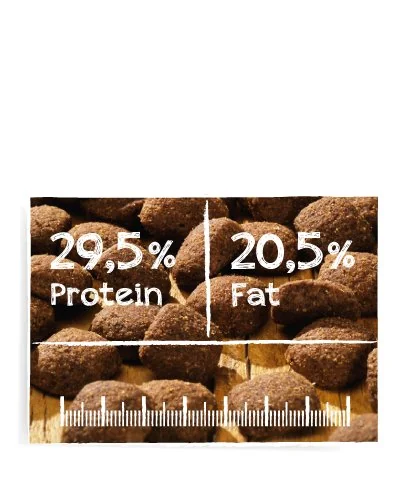 Belcando Adult Power