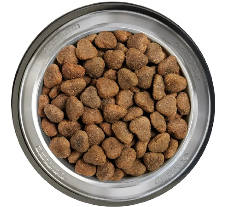 Belcando Adult Grain Free Pasare