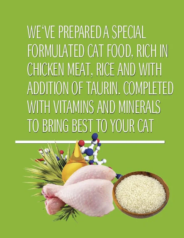 Cat Concept Dry Chicken