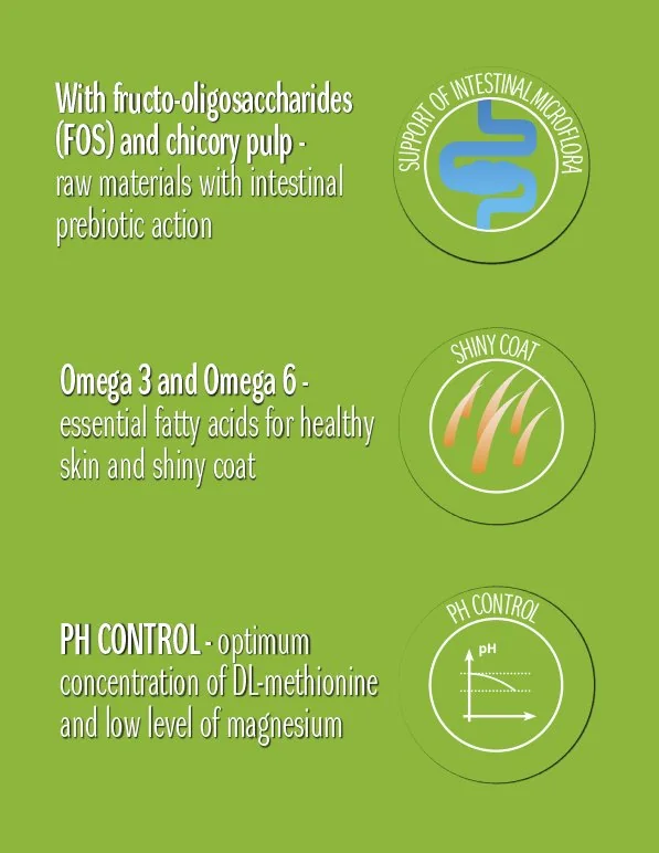 Cat Concept Dry Chicken